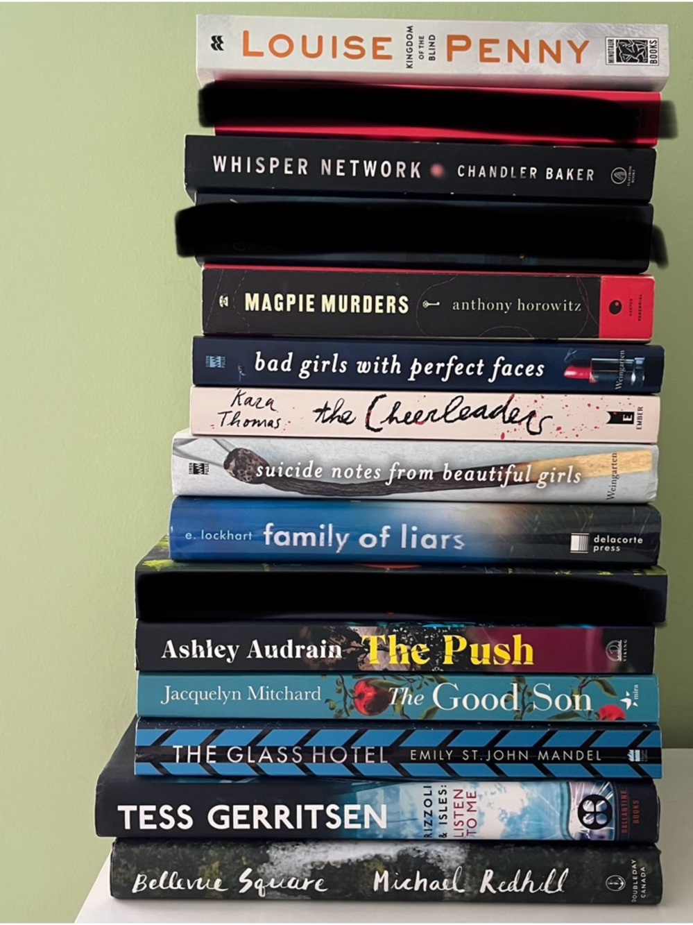 Thriller Mystery Booktok Book Bundle (12 books!)